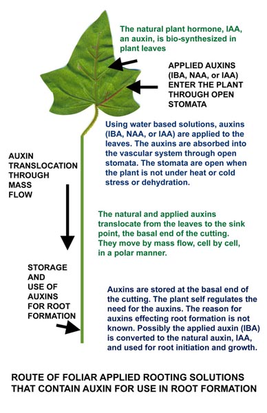 Figure1