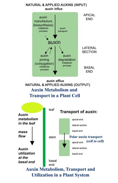 Figure2