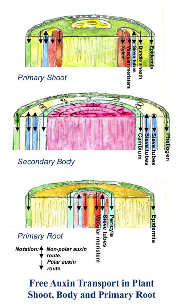 Figure4