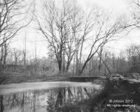 Twin POnds in Winter