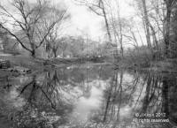 Twin Ponds in Winter