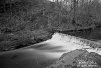 Bronx River Water Fall